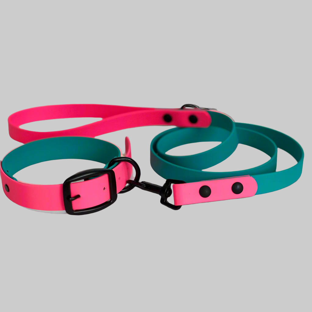 Custom Two-Tone Dog Collars and Leashes – BioThane®