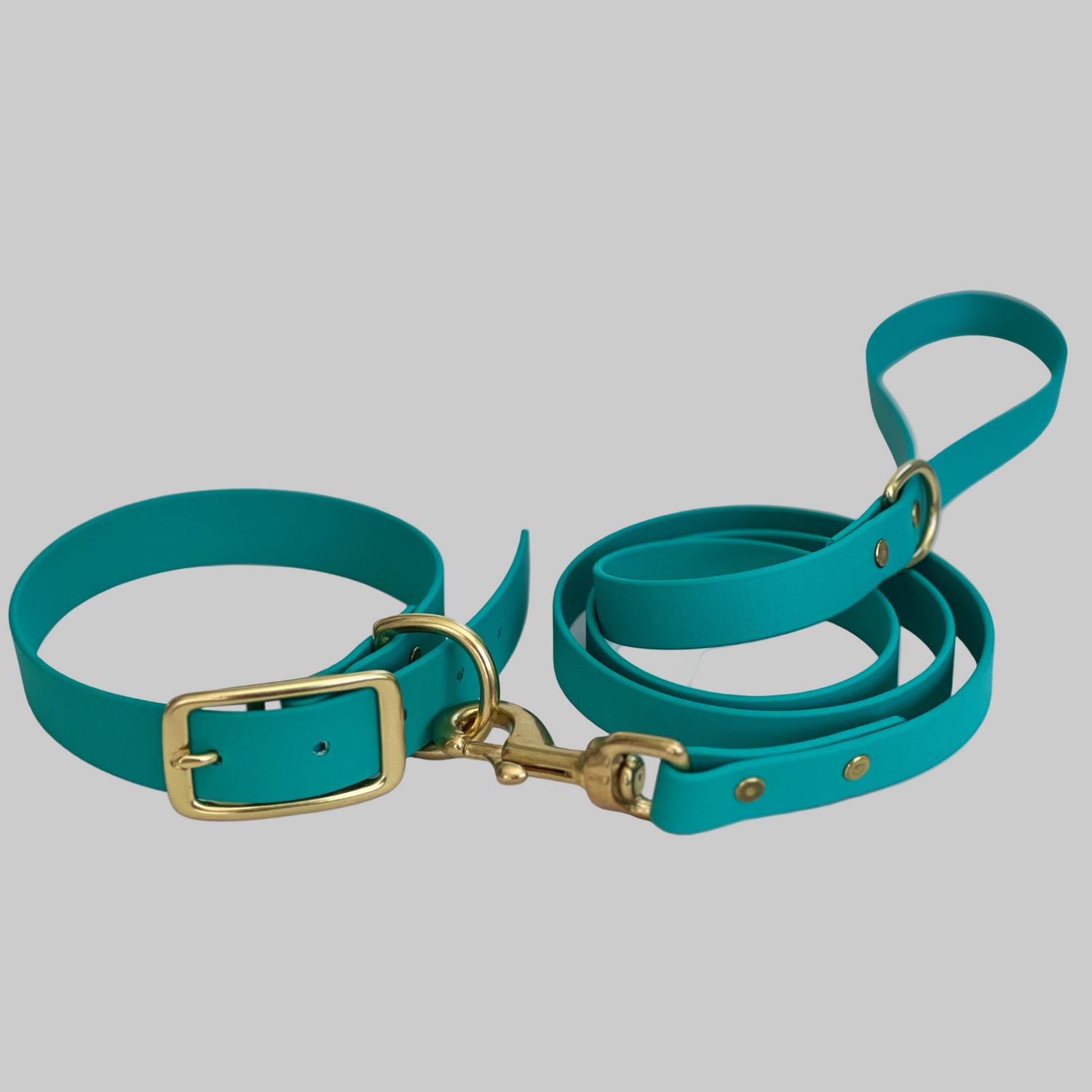 Custom Single-Color Dog Collars and Leashes – BioThane®