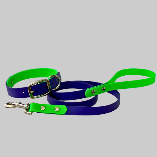 Halloween - Purple and Green Two-Tone Adjustable Dog Collar and Leash Setā BioThaneĀ®