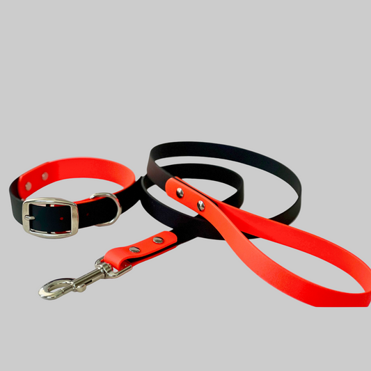 Halloween - Orange and Black Two-Tone Adjustable Dog Collar and Leash Setā BioThaneĀ®