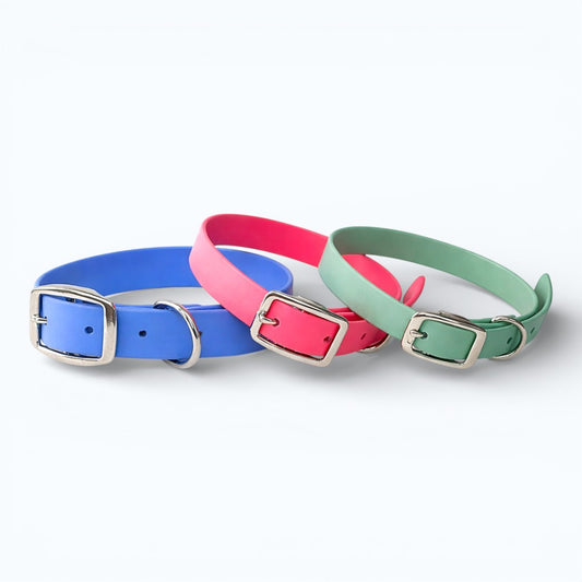 Custom - Create Your Own – Classic Single-Color Adjustable Dog Collar