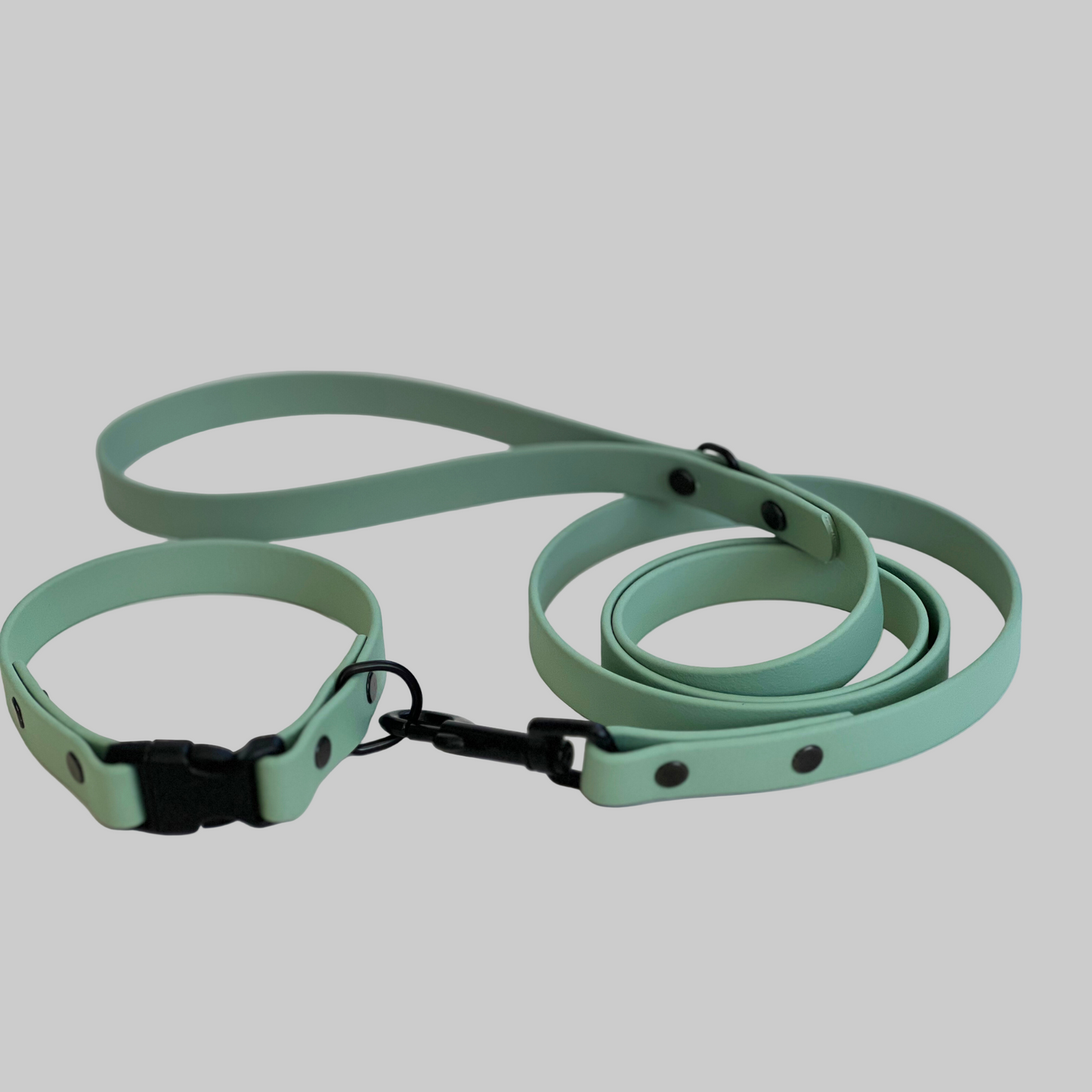 Create Your Own – Classic Single-Color Side Release Buckle Dog Collar – BioThane®