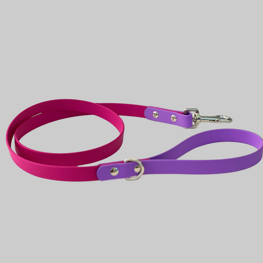 Create Your Own – Two-Tone Dog Leash – BioThane®