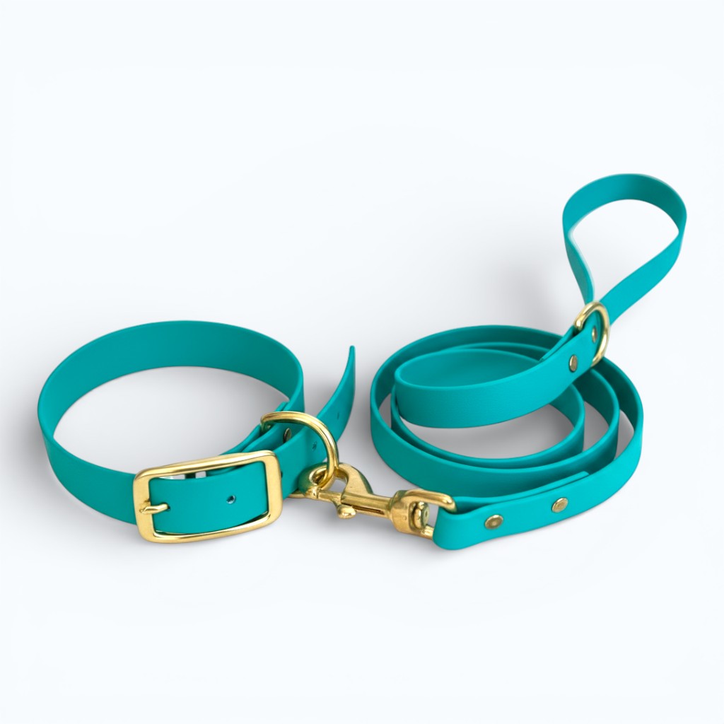 Custom - Create Your Own - Single-Color Dog Collars and Leashes