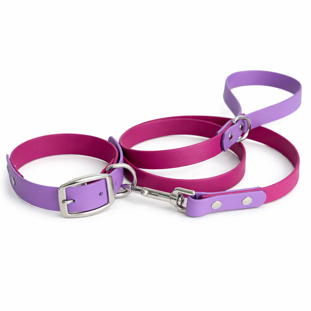 Custom - Create Your Own – Two-Tone Adjustable Dog Collar