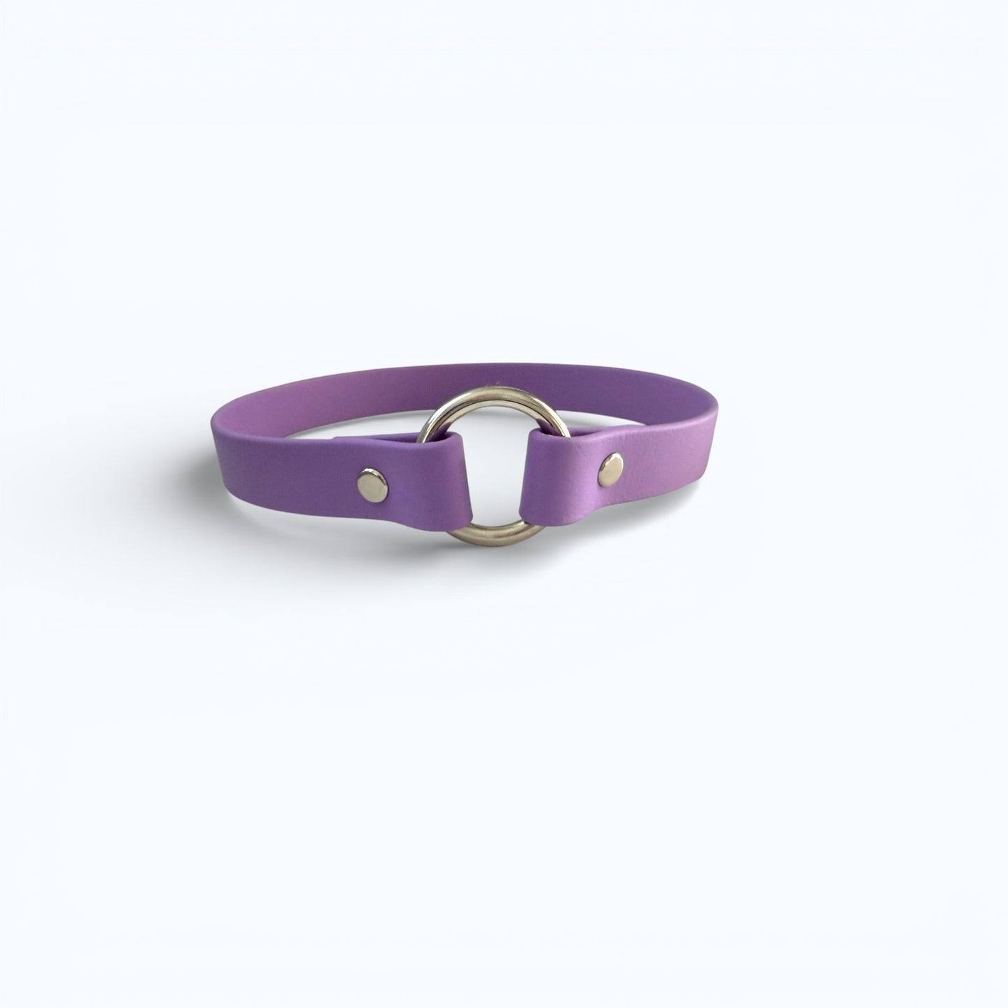 Custom- Create Your Own – Classic Single Color Slip-On Tag Dog Collar
