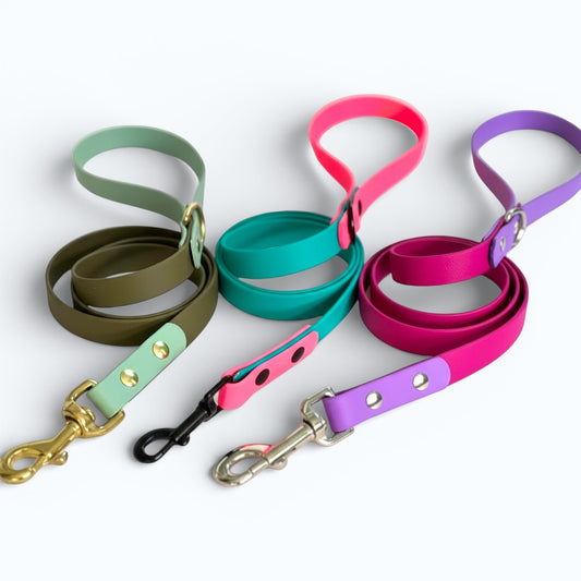 Custom - Create Your Own – Two-Tone Dog Leash
