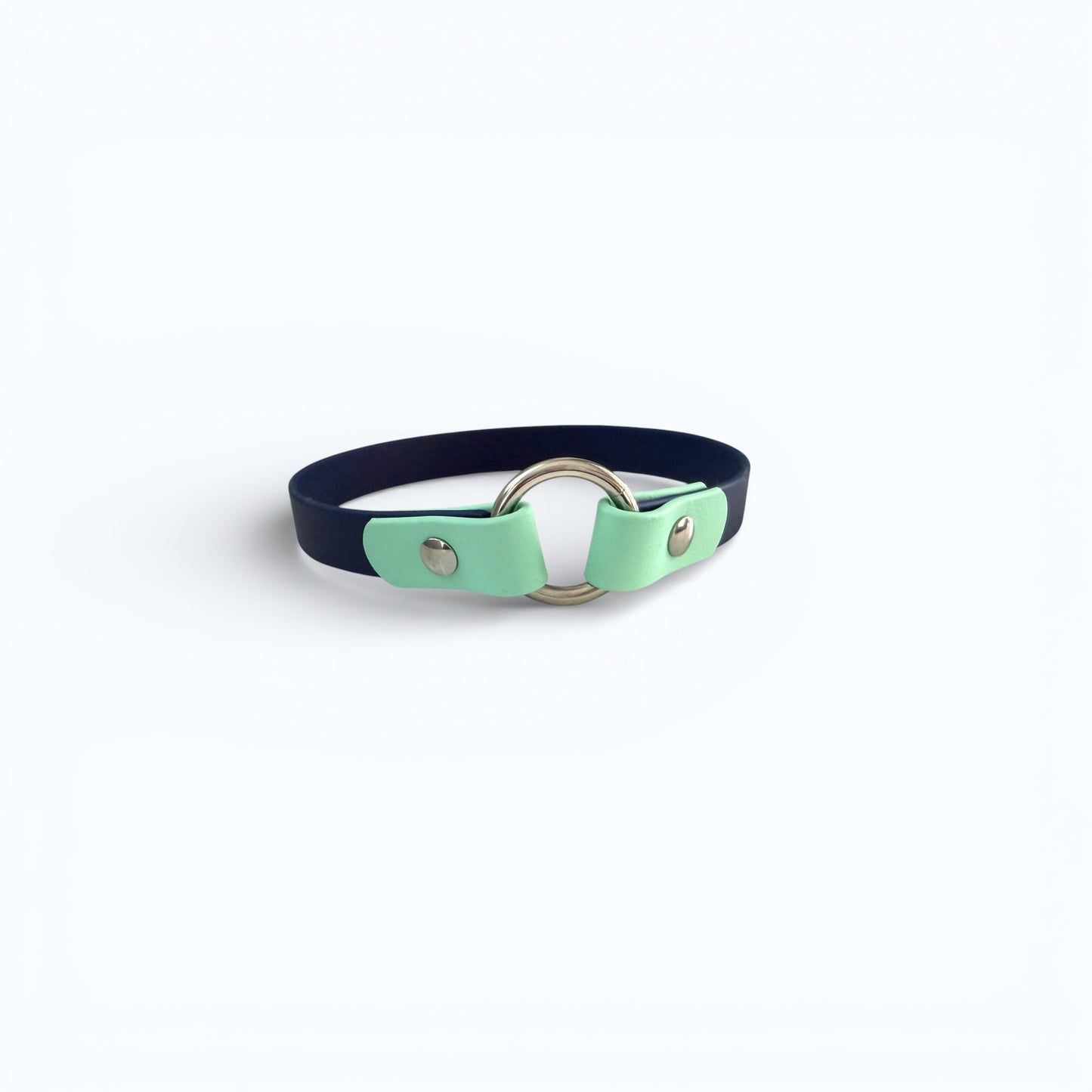 Custom - Create Your Own – Two-Tone Slip-On Tag Dog Collar