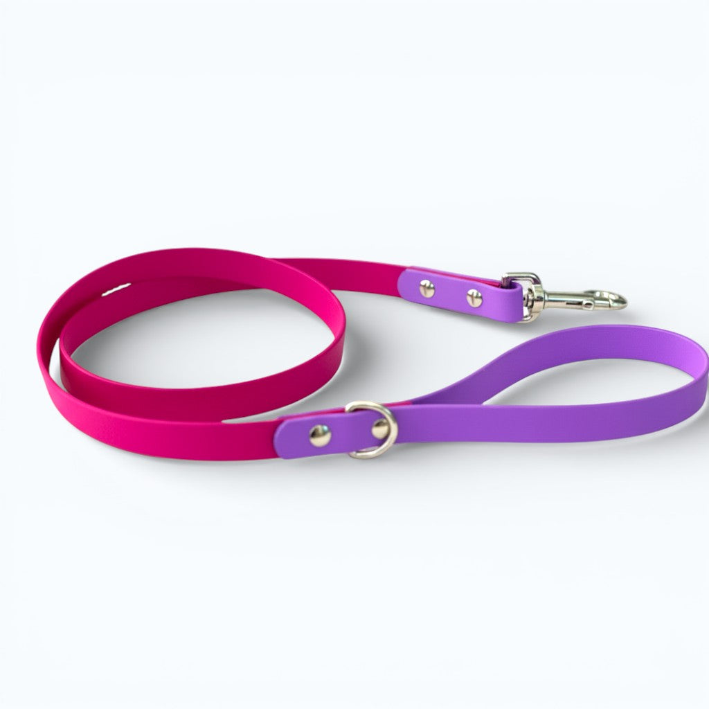 Custom - Create Your Own – Two-Tone Dog Leash